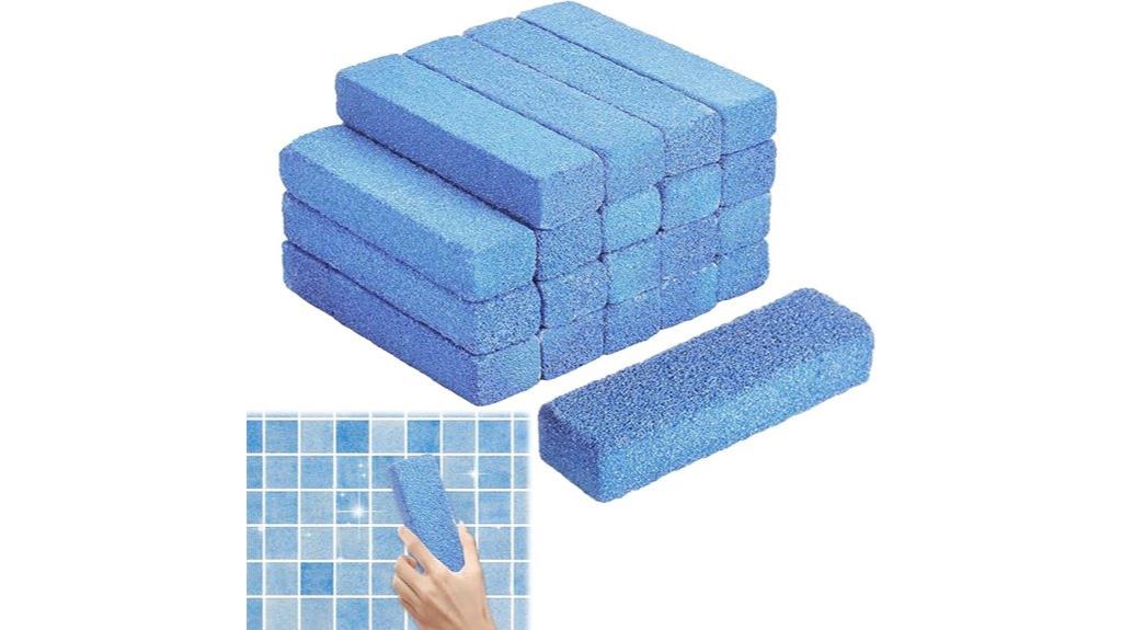 pool cleaning pumice stones