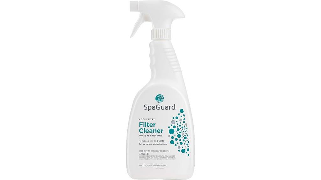 spa filter cleaning solution