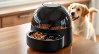 top automatic pet feeders