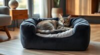 top orthopedic cat beds