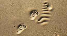 gradual deepening of small steps