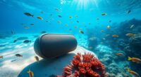 underwater audio system considerations