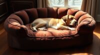 large dog bed options