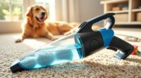 portable pet carpet cleaners