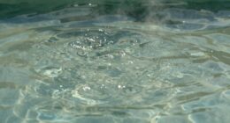 chloramine smell indicates issues