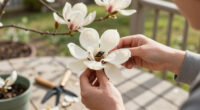 Magnolias Are So Old That They're Pollinated By Beetles, Not Bees