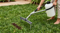 Most Gardeners Have Never Heard of This Lawn Product That Helps Grass Survive Extreme Heat