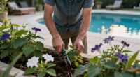 The Thunder Moon Is Rising At The End Of July – Here's How To Prepare Your Garden For Summer Storms