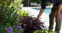 Why You Shouldn’t Plant Purple In The Shade – And Why You Need To Grow These 5 High Impact Plants Instead