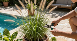10 Best Easy-to-Grow Ornamental Grasses That Add A Professional Polish To Your Backyard