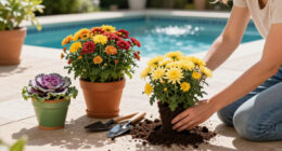 5 Fast-Growing Fall Flowers For Containers That Dazzle From The End Of Summer Until The First Frost