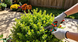 6 Plants You Should Prune In September For A Tidy Fall Garden – Plus, Which Plants You Should Leave