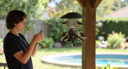 Can Your Bird Feeder Really Tell You If A Storm Is Coming? Here's The Truth
