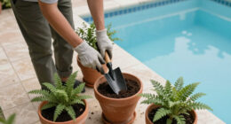 Crime Pays But Botany Doesn't