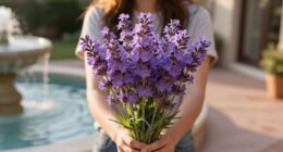 Meet The Lavender Dupe With Triple The Bloom Time And No Woody Stems – It’s Set To Become A Garden Classic