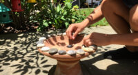 The Puddle Bird Bath Your Backyard Needs To Attract The Birds You Are Missing This Summer
