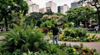 Vegetation Distribution In Buenos Aires Analyzed In New Gallery