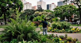 Vegetation Distribution In Buenos Aires Analyzed In New Gallery
