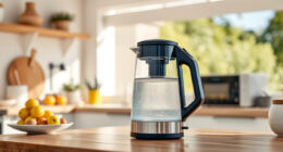 Beat the Summer Heat with Ninja KT200BL Precision Temp Kettle