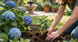 If Hydrangeas And Blueberries Thrive In Your Soil, Plant These 5 Acid-Lovers In September For Vibrant Blooms & Berries Next Year