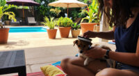 Meet Your Birth Month Pet – And The Meaning Behind All 12 Companion Animals