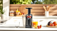 Summer Refresh: Must-Have Accessories for Your Ninja NeverClog Juicer