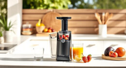 Summer Refresh: Must-Have Accessories for Your Ninja NeverClog Juicer