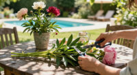 What To Do With Peonies In September – 5 Easy Tasks That Will Ensure Beautiful, Blousy Blooms Next Year