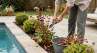 11 Perennials To Cut Back This Fall For A Healthier Garden Next Spring