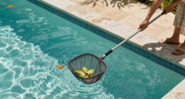 15 Best Pool Leaf Skimmers for Easier Pool Cleaning in 2027