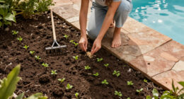 2 Easy Cover Crops To Plant Now For Healthier Soil Next Spring