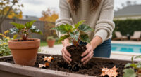 5 Things Begonias Need In October To Survive Winter – From Lifting Tubers To Bringing Plants Indoors