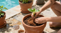 Coconut Coir For Plants: A Complete Guide For Healthy Plants