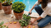 Prune These 7 Plants In October And They Will Come Back Better And Stronger Next Year