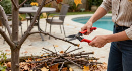 The Vital Fall Job Your Fruit Trees Need For A Healthier, More Productive Year Ahead