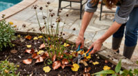 These 7 Fall Cleanup Mistakes Could Ruin Next Year's Garden – Here's What To Do Instead