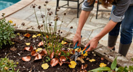 These 7 Fall Cleanup Mistakes Could Ruin Next Year's Garden – Here's What To Do Instead
