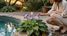Toad Lilies Are The Shade-Loving Perennials Your Fall Garden Needs