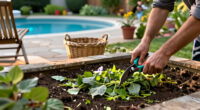 Why You Should Chop And Drop – The Quickest Way To Mulch Beds And Feed Your Soil