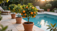 You Don't Need A Big Garden To Grow Your Own Fruit – These 7 Trees Are Perfect For Smaller Spaces